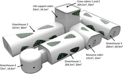 Multi-System Adaptation to Confinement During the 180-Day Controlled Ecological Life Support System (CELSS) Experiment